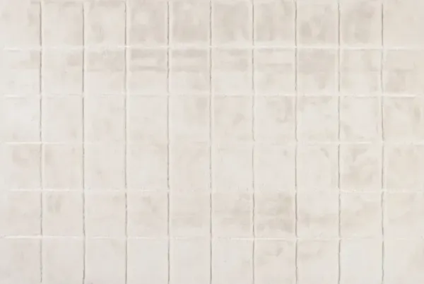 Padma Lakshmi, Tessera Rug