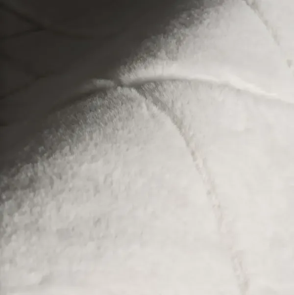 Padma Lakshmi, Tessera Rug