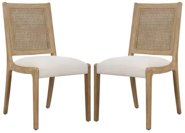 S/2 Mila Cane Dining Side Chairs