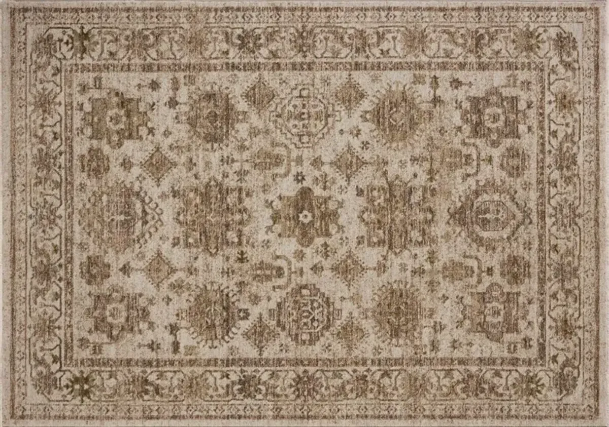 Lucasia Rug
