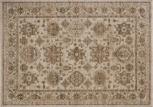 Lucasia Rug