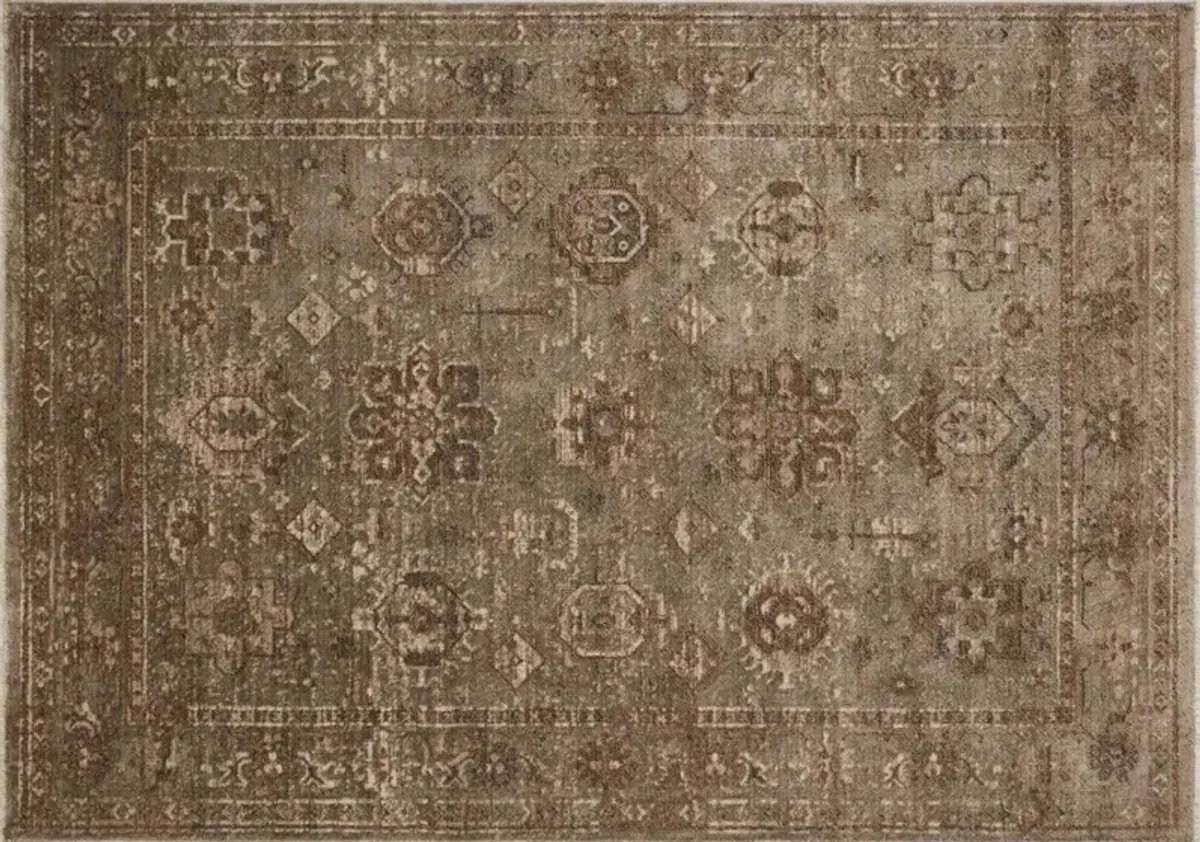 Lucasia Rug