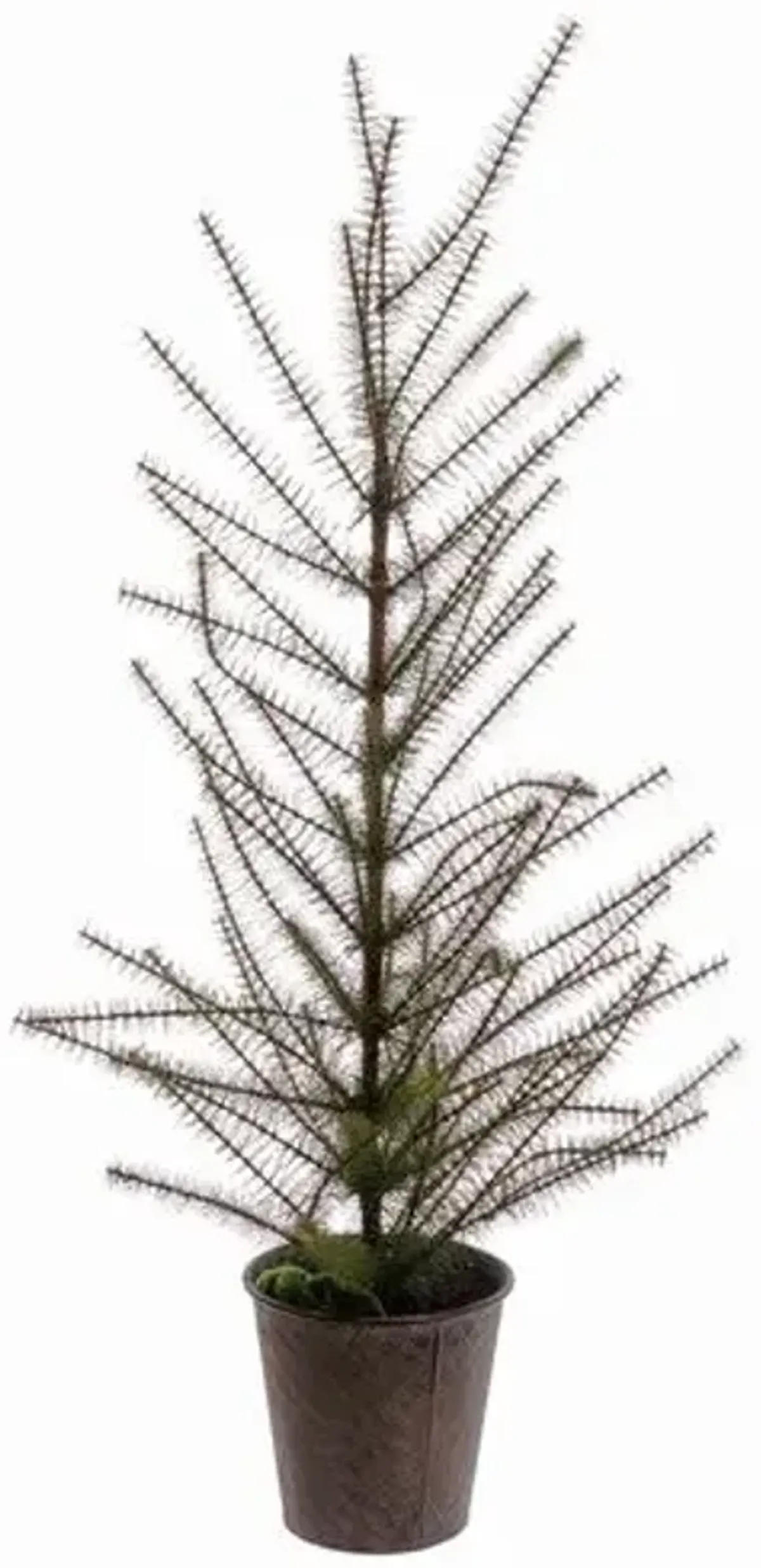 57" Pine Tree in Tin Pot - Green