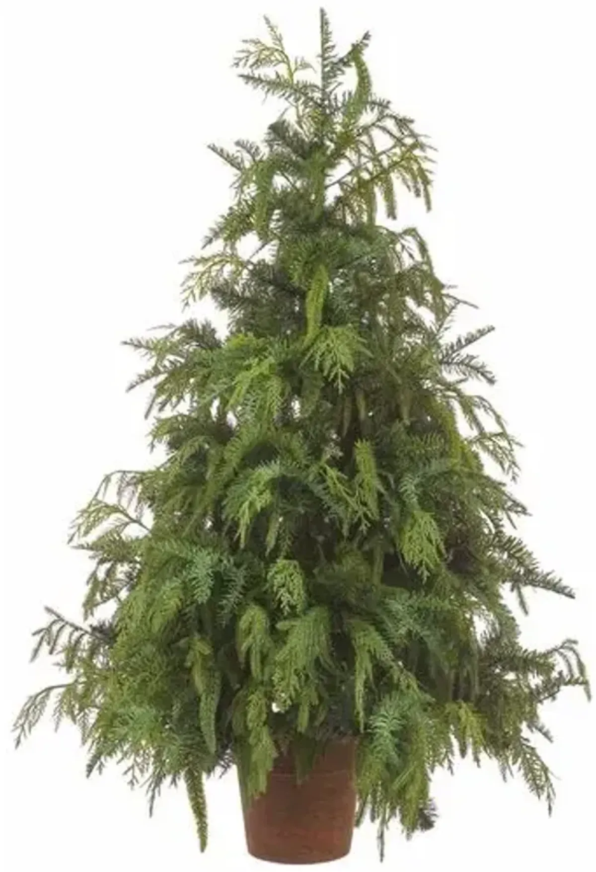 46" Cedar Mixed Pine Tree in Paper Mache Pot - Green