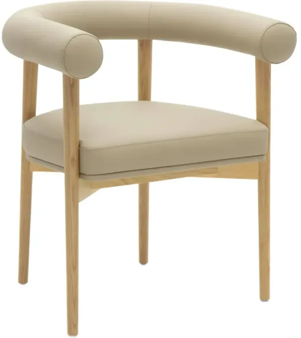Theron Faux Leather Performance Dining Chair