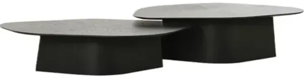 Set of 2 Ross Ash Nesting Coffee Table - Black
