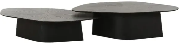 S/2 Ross Ash Nesting Coffee Table