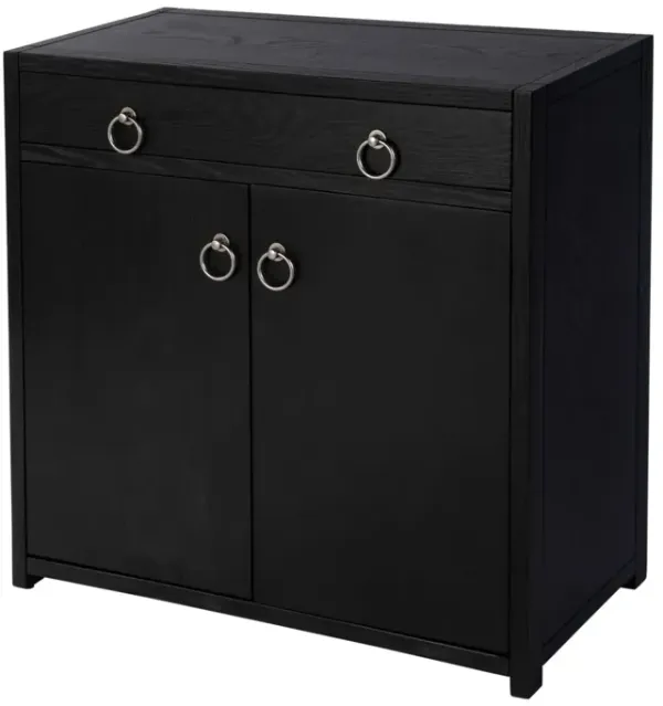 Sully 2-Door Cabinet
