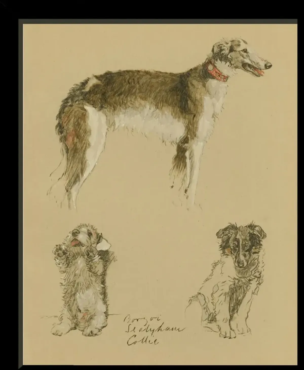 Dogs - Borzoi, Sealyham, Collie Art Print, 12.75" x 10.5"
