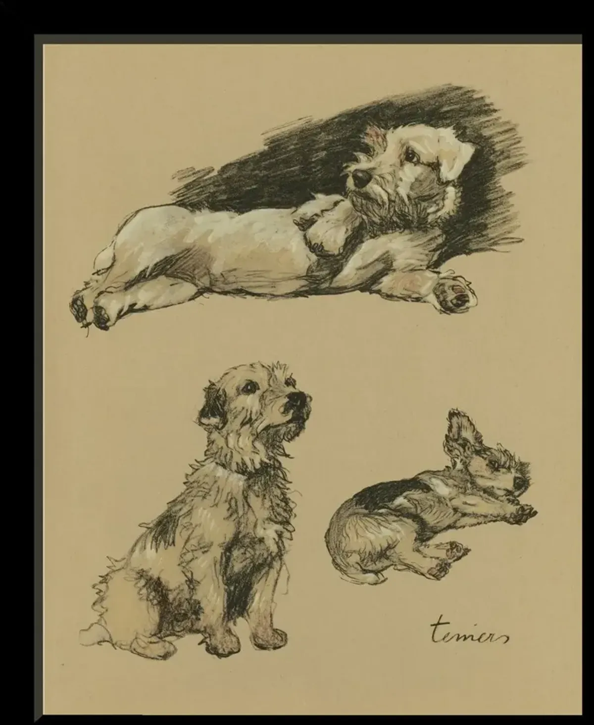 Dogs - Terriers Art Print, 12.75" x 10.5"