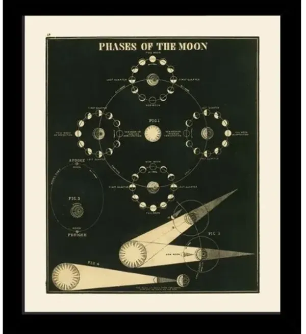 Astronomy Phases of the Moon Art Print - 13.75" x 12" - Black