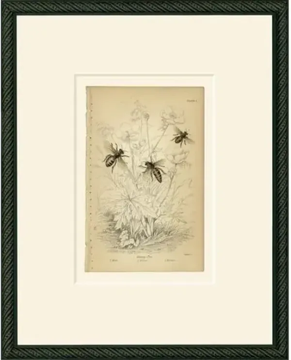 Simple Honey-bees Art Print - 15" x 12" - Black