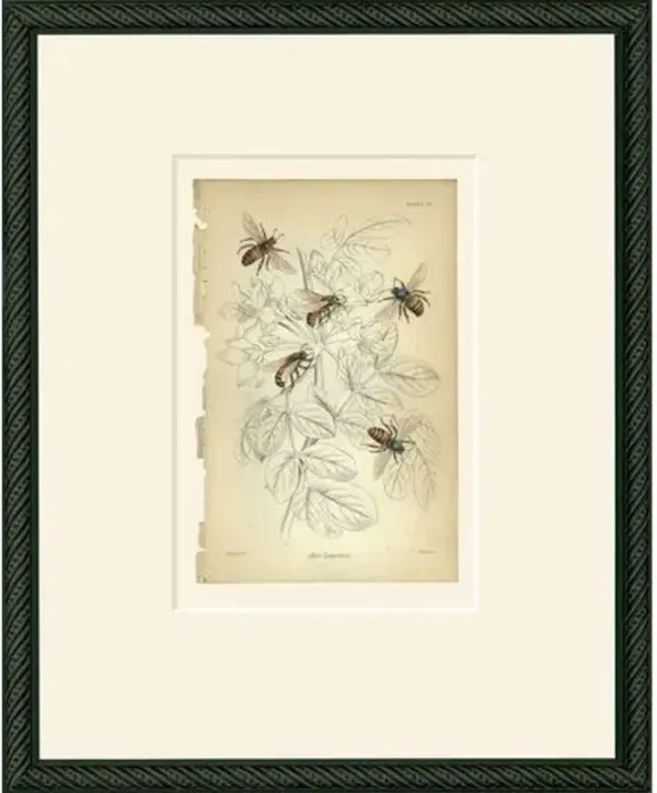 Simple Bees Art Print - 15" x 12" - Black