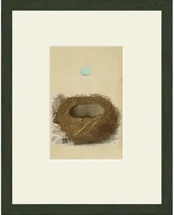 Blue Egg Art Print - 15" x 12" - Black