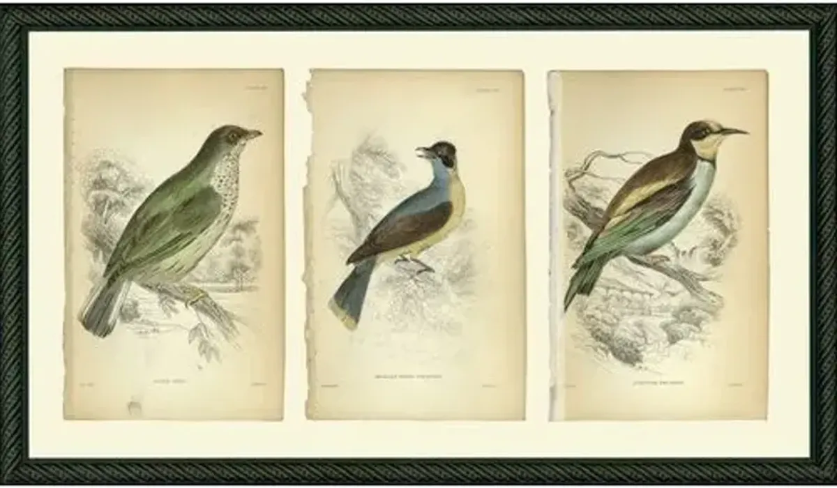 Birds III Art Print - 11" x 19" - Black