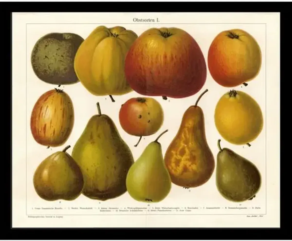 Apples & Pears - c 1895 Art Print - 17" x 20.5" - Green