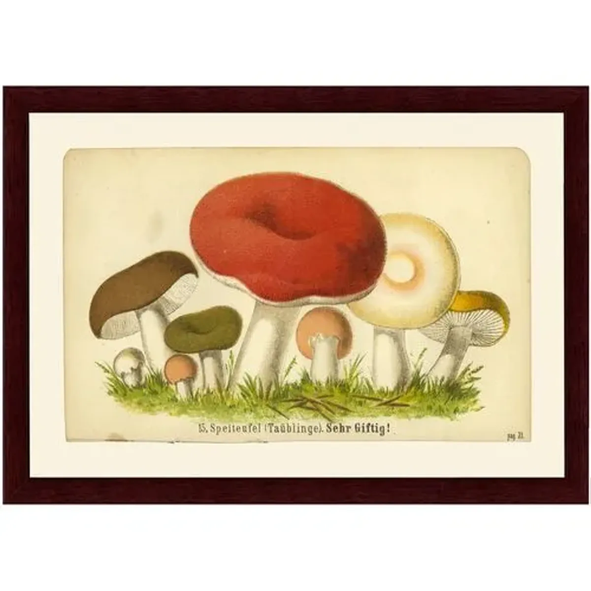 Mushrooms Art Print - 9.25" x 13" - Red