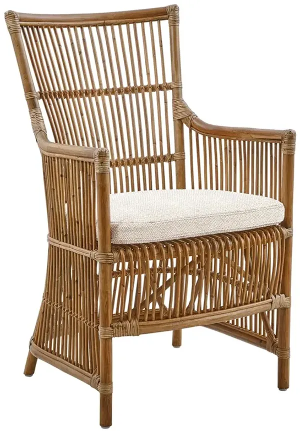 Davinci Rattan Chair