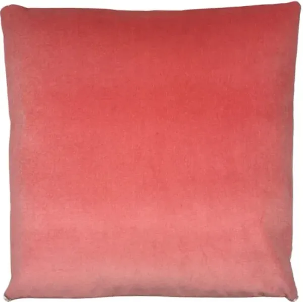 Margot 22x22 Velvet Contrast Trim Pillow - The Piper Collection