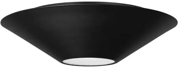 Visual Comfort - Echo Medium Flush Mount and Sconce - Black