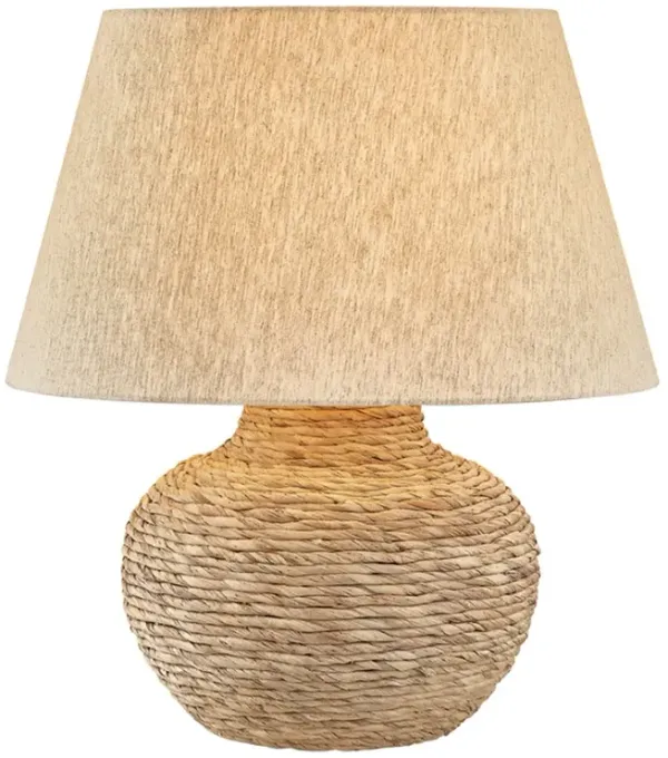 Malik Hyacinth Table Lamp - Patina Brass - Troy Lighting - Brown