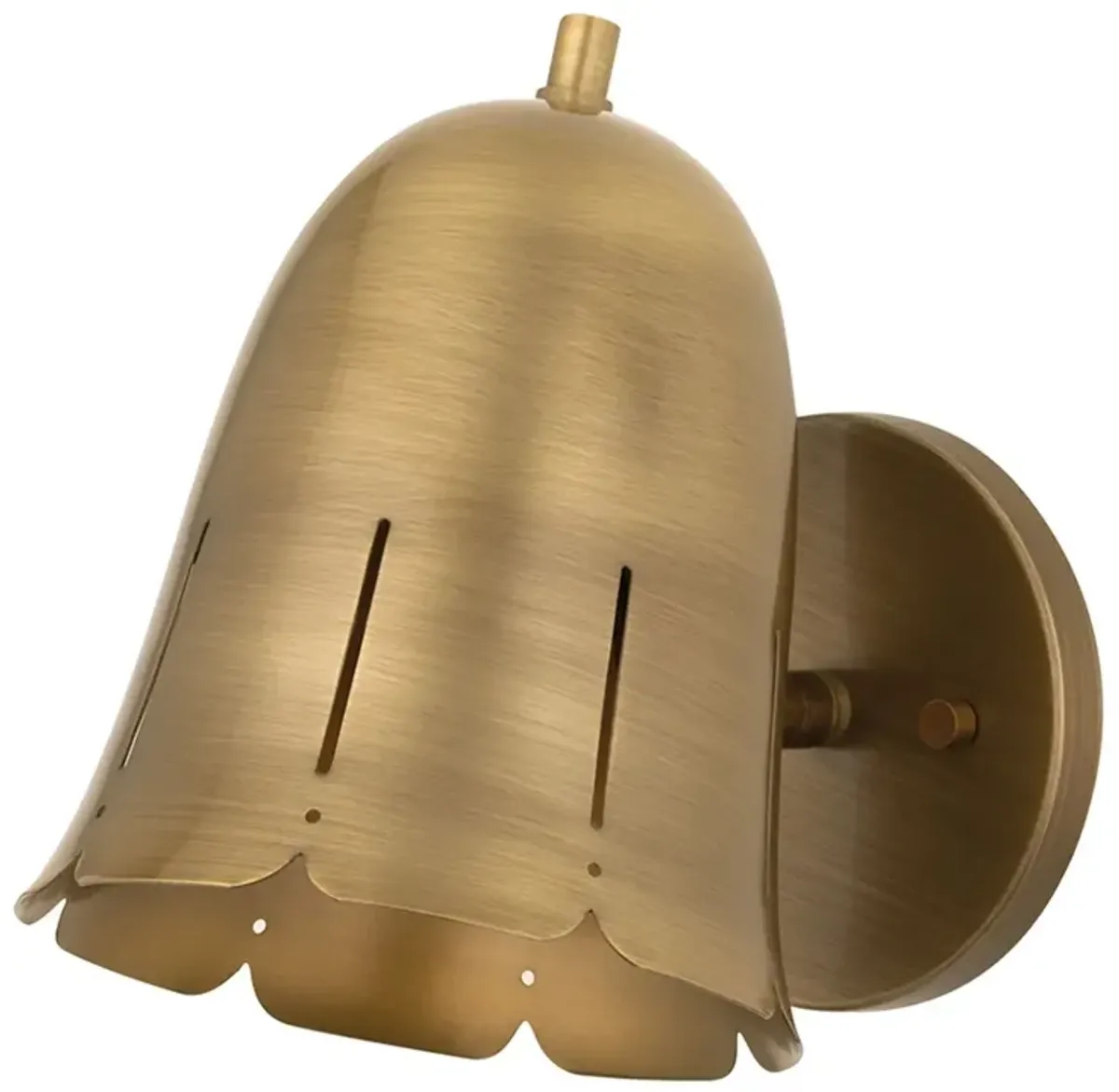 Evren Steel Flower Wall Sconce - Patina Brass - Gold