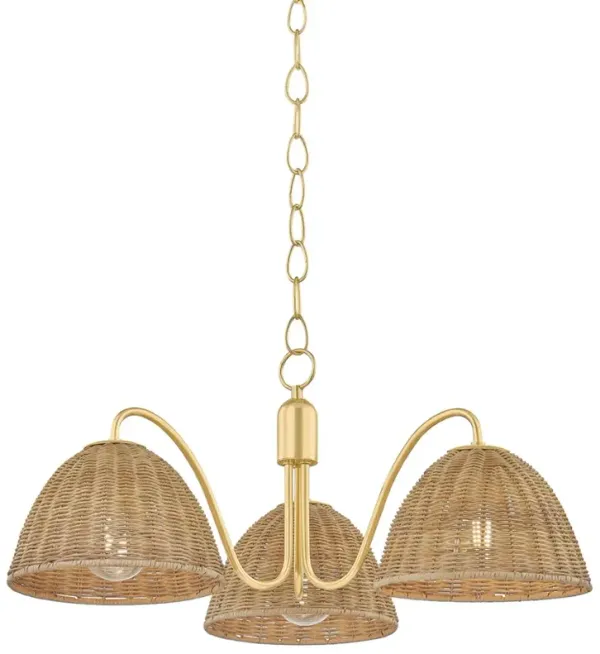 Nyssa Wicker Chandelier - Aged Brass - Brown