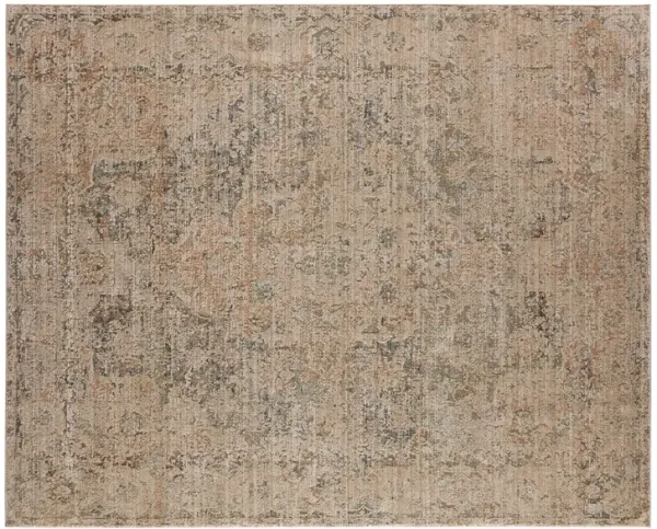 Amerie Traditional Rug, Gray/Blue