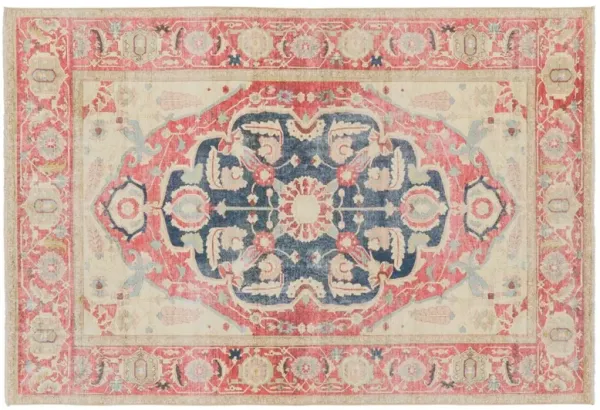 Kadi 10'X14' Medallion Rug, Red/Blue