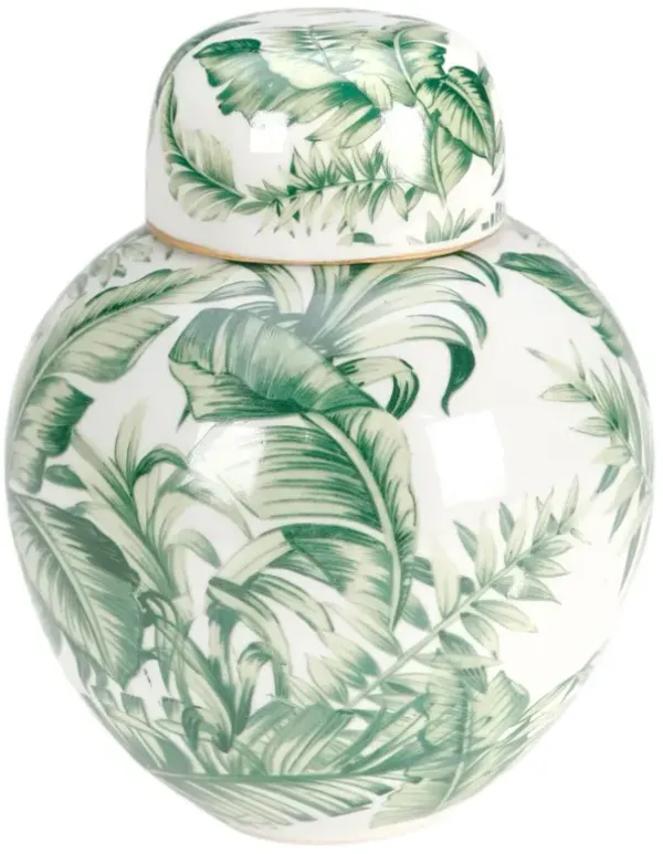 8 Inch Tropical Leaf Jar, Green