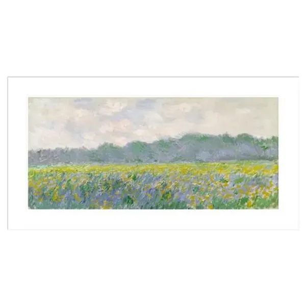 Field of Yellow Irises at Giverny by Claude Monet Framed Print - 1000Museums - Multi