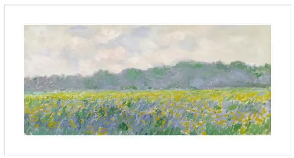 Field of Yellow Irises at Giverny by Claude Monet Framed Print