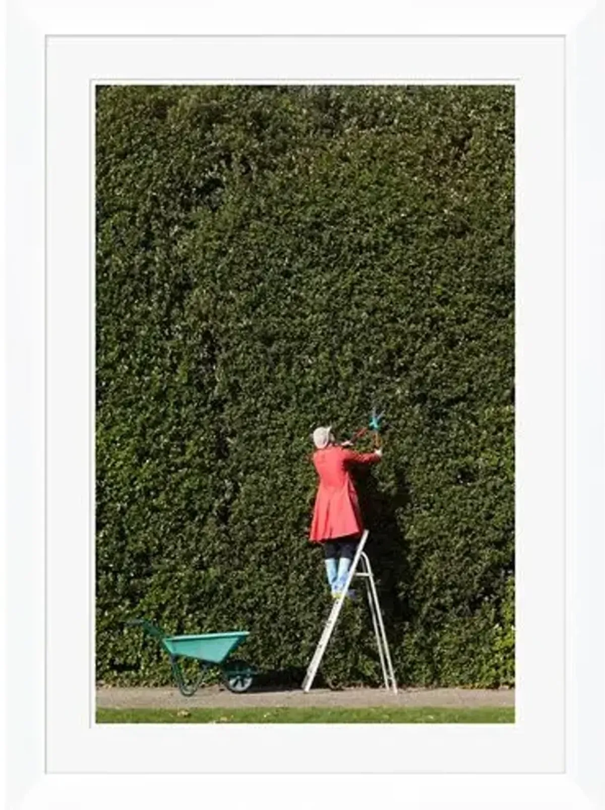"Woman Cutting Large Hedge" - Peter Cade - 2008 Photograph - Green
