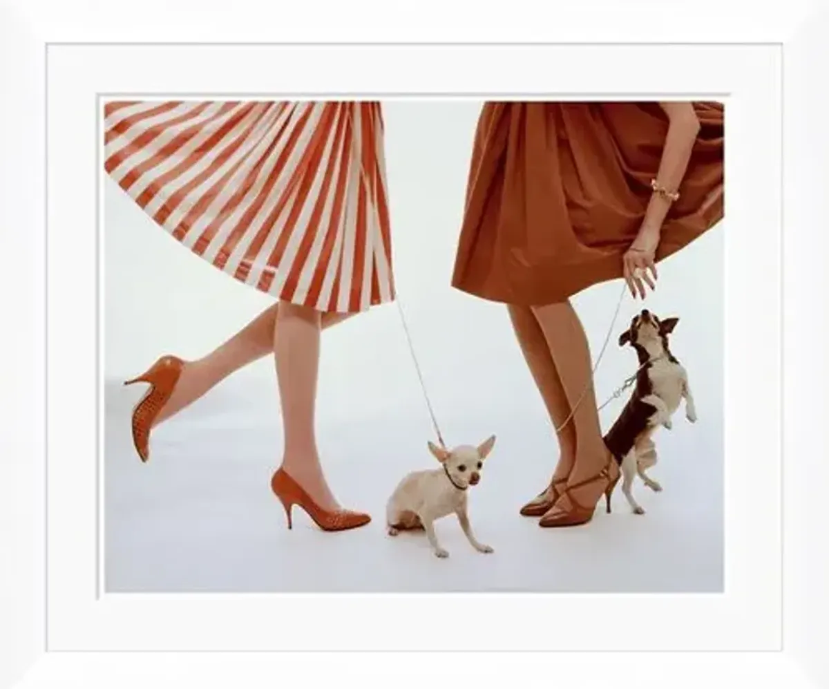 Vogue Magazine - "Two Models with Dogs," William Bell - February 15 - 1959 Photograph - Soicher Marin - Red