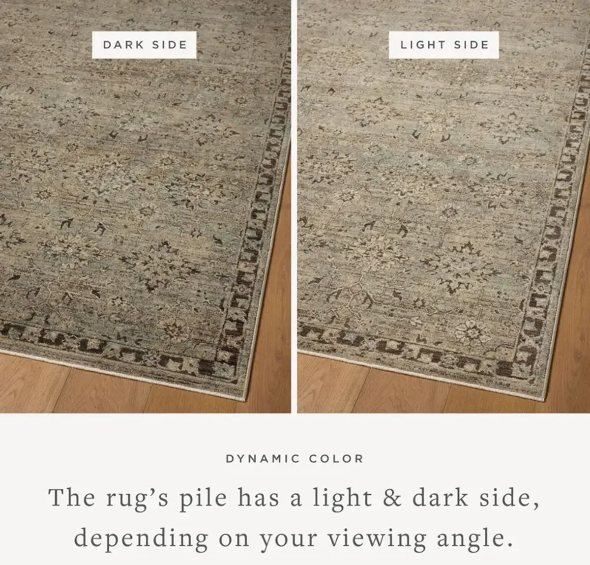 Mayci Rug