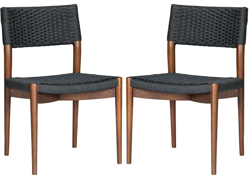 S/2 Charlotte Dining Chairs, Brown