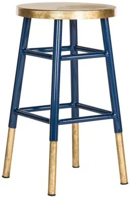 navy/gold color