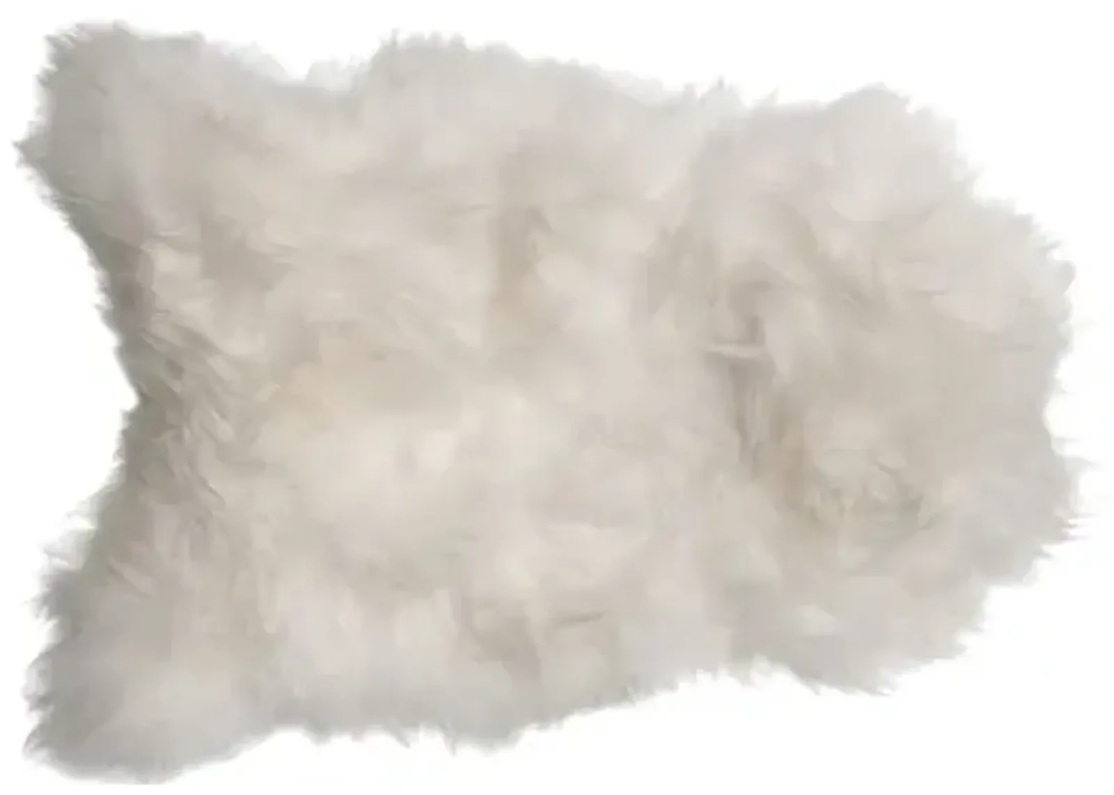 2'x3' Icelandic Sheepskin Rug - Natural - White - White