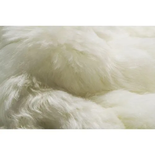 2'x3' Icelandic Sheepskin Rug - White - natural - White