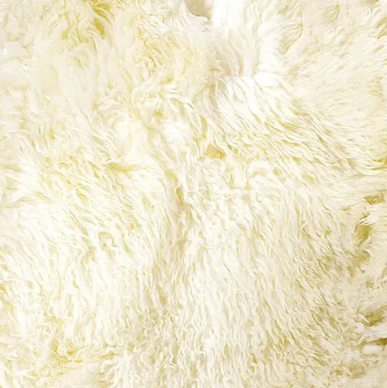 Sheepskin Curly Rug - Natural - Ivory - Ivory