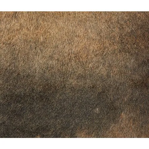Normand Hide - Brown - natural