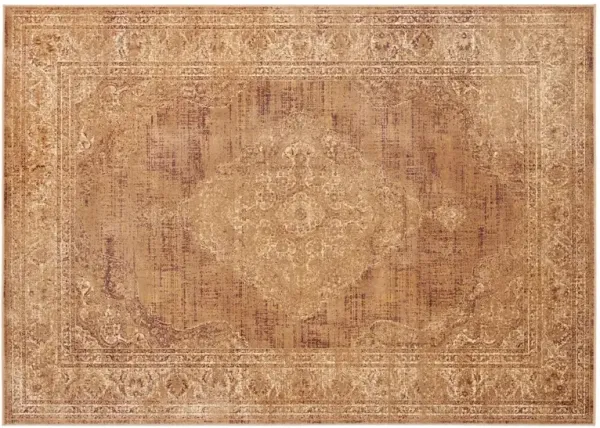 Medlin Rug - Taupe - Brown - Brown