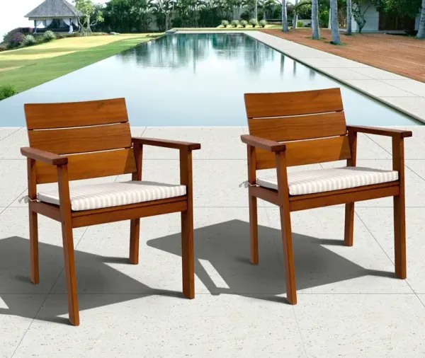 Hank Eucalyptus 11Pc Extendable Dining