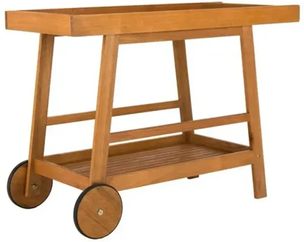 Renzo Outdoor Bar Cart - Brown