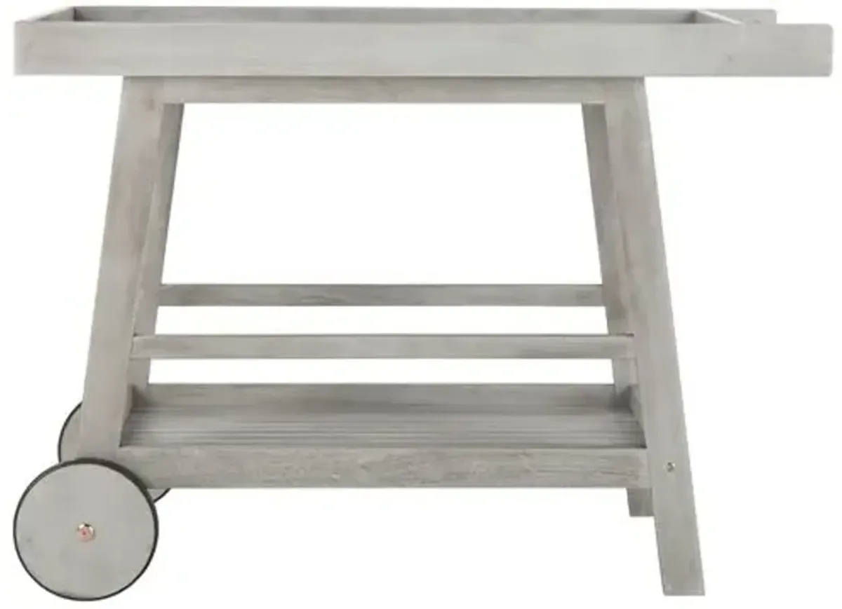 Renzo Outdoor Bar Cart - Gray