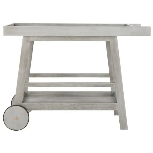 Renzo Outdoor Bar Cart - Gray