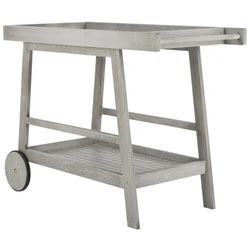 Renzo Outdoor Bar Cart - Gray