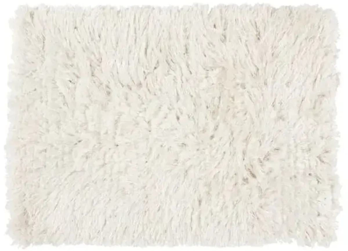 Aoide Shag Rug - Winter White - Ivory - Ivory