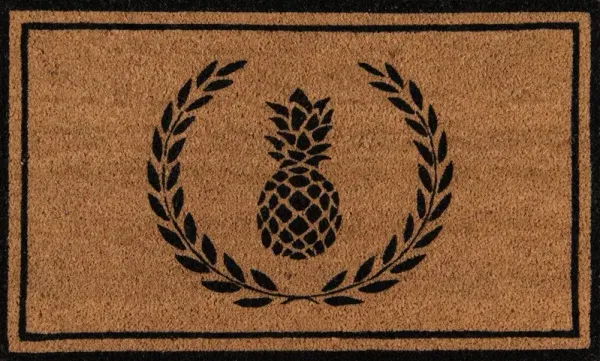 1'6"x2'6" Pineapple Doormat, Black