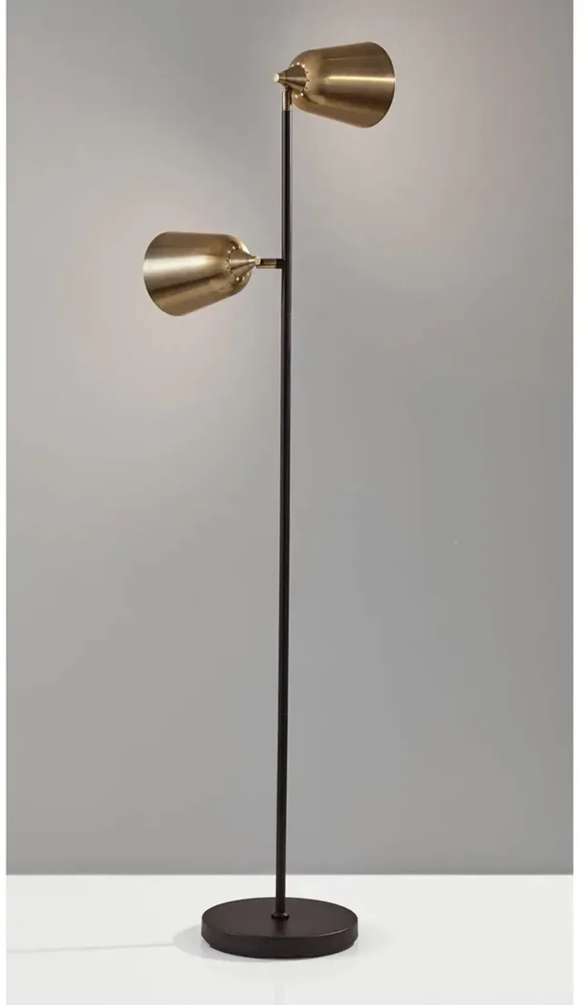 Ryker Floor Lamp - Black/Antique Brass